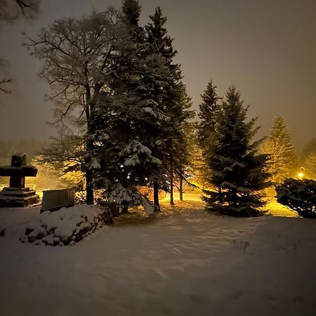 Chalupa U Krize Harrachov Dış mekan fotoğraf