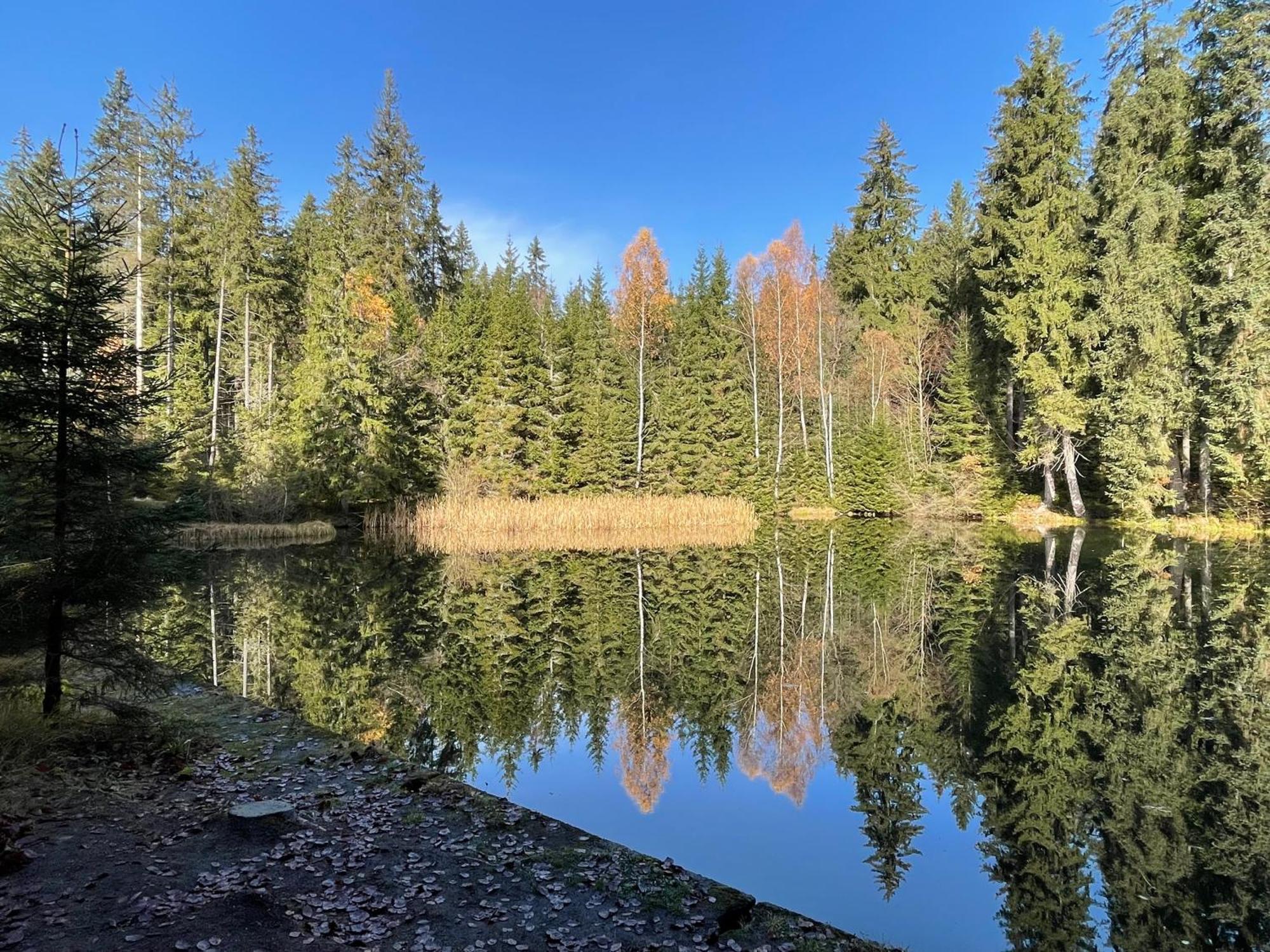 Chalupa U Krize Harrachov Dış mekan fotoğraf