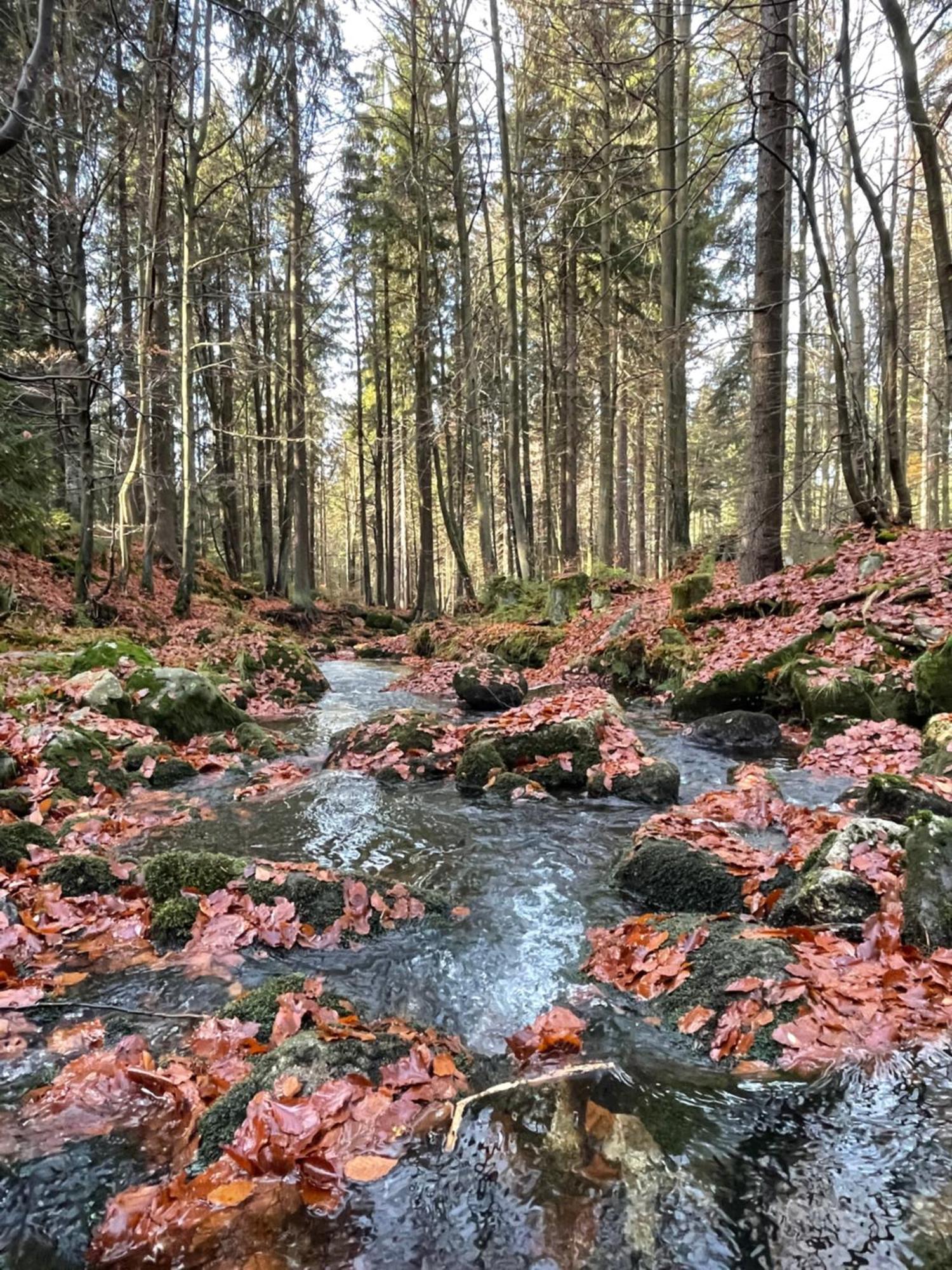 Chalupa U Krize Harrachov Dış mekan fotoğraf